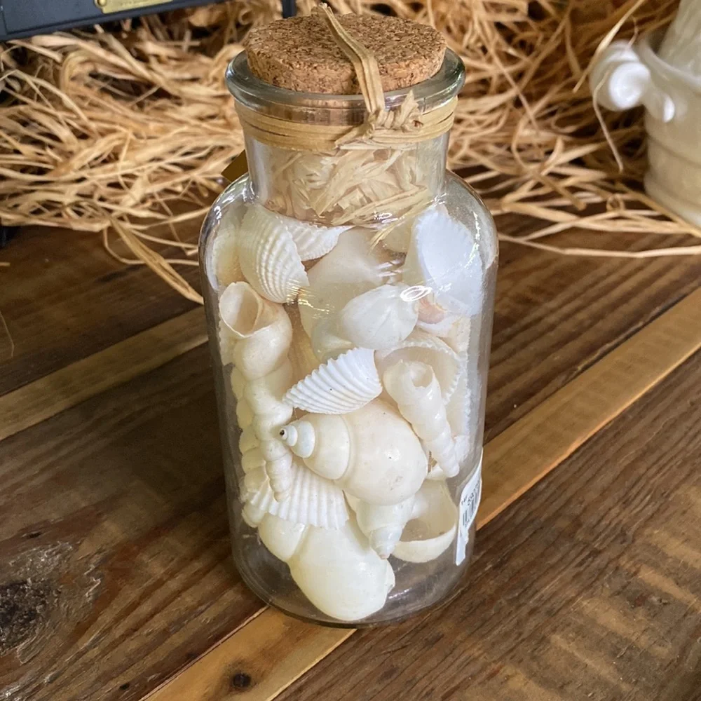 Pottery Barn Sally’s Seashore Seashells “Shells In A Bottle” Vase Filler 🐚 - Picture 5 of 16